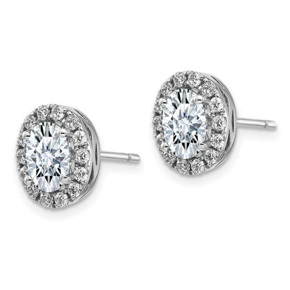 14k White Gold Oval Halo G H I True Light Moissanite Earrings